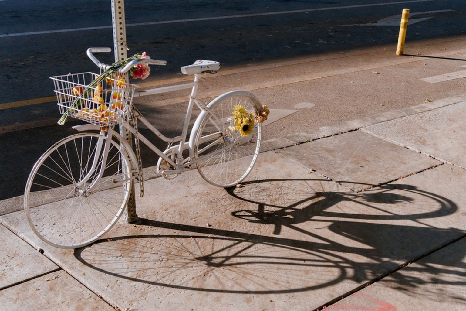 Vit cykel med blommor i korg och på bakhjul, lutad mot stolpe i solljus